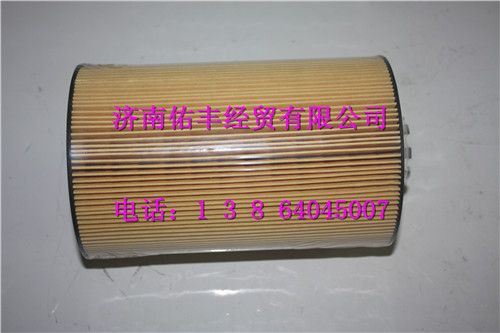080V05504-0096,重汽豪沃T5G机油滤清器080V05504-0096,济南佑丰经贸有限公司（原镐煜）