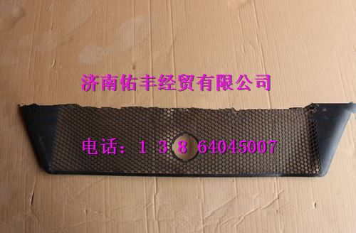 重汽豪沃T5G保险杠装饰网WG1664245002图1