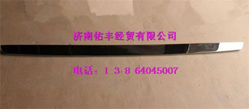 WG1664112062,重汽豪沃T7H前面罩装饰条WG1664112062,济南佑丰经贸有限公司（原镐煜）