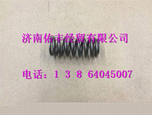 080V04102-0155,重汽曼MC07气门弹簧080V04102-0155,济南佑丰经贸有限公司（原镐煜）