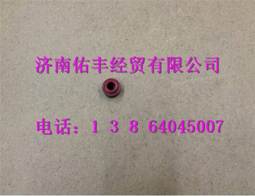 080V04902-0034,重汽曼MC07气门杆密封套080V04902-0034,济南佑丰经贸有限公司（原镐煜）