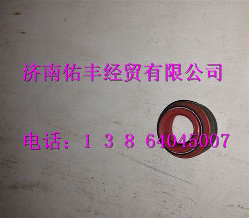 重汽曼MC11进气门杆油封202V04902-0033图1
