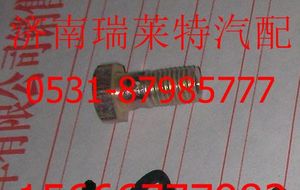 190003962607,,济南瑞莱特汽车零部件有限公司