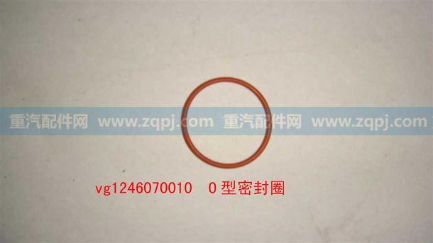 VG1246070010
