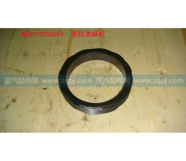 WG2210100015 