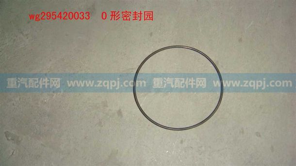 WG295420033 