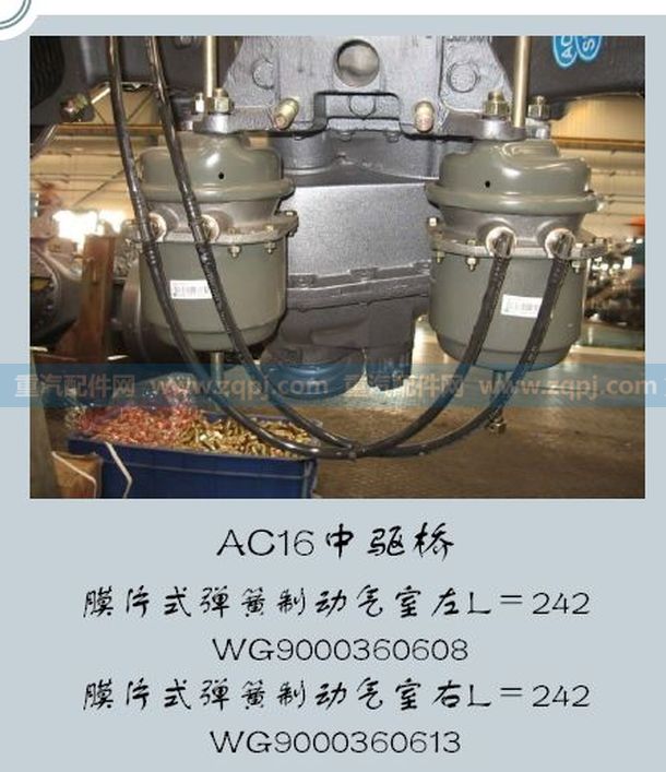 WG9000360608