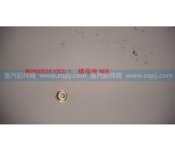 WG9000361003 