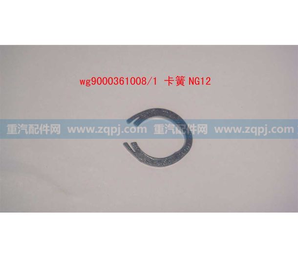 WG9000361008 