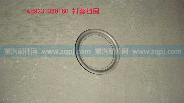 WG9231320160 