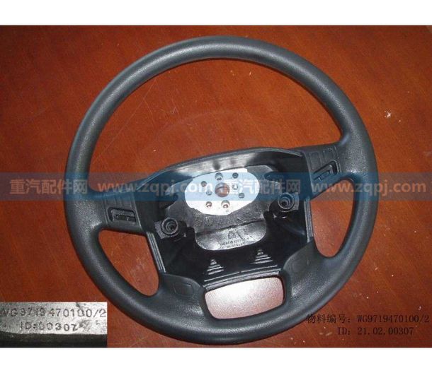 WG9719470100