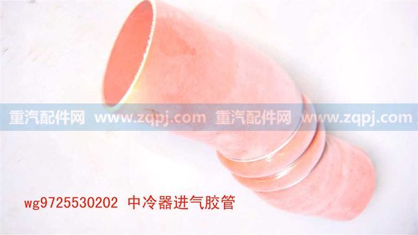 WG9725530202