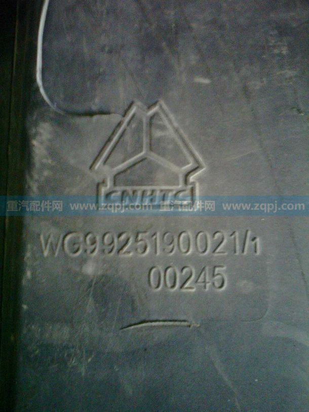 WG9925190021