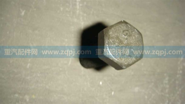 WG9981320013 