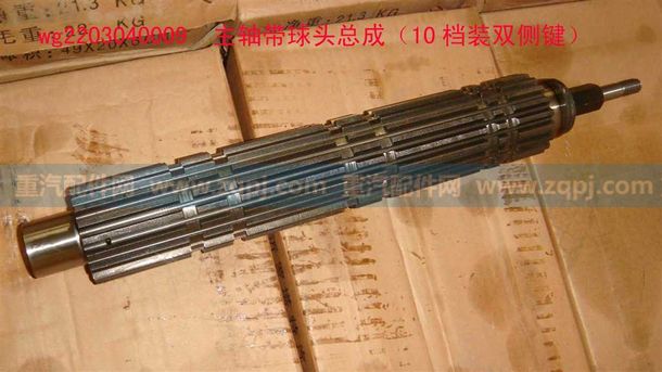 WG2203040009 