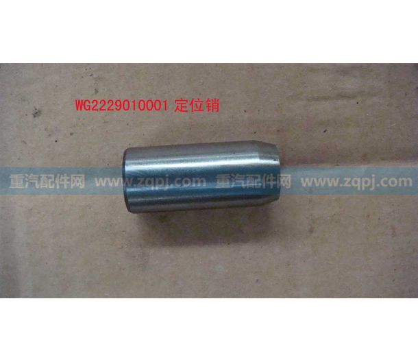 WG2229010001 