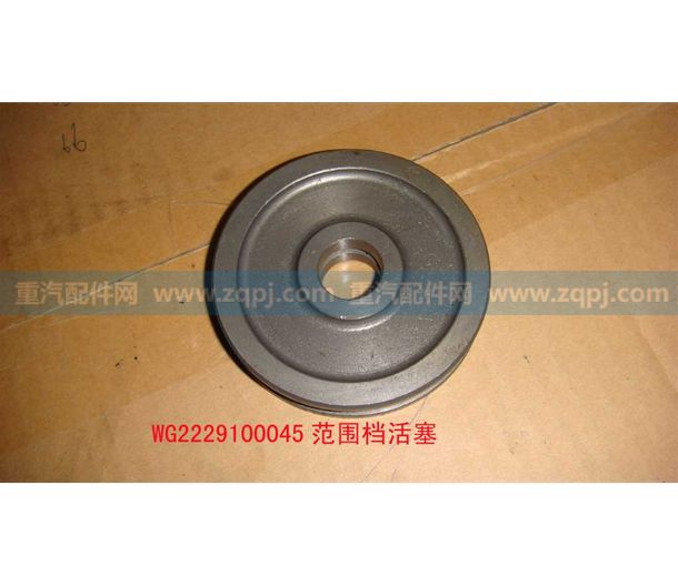 WG2229100045