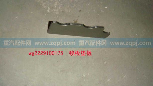 WG2229100175 