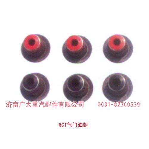 6CT氣門油封