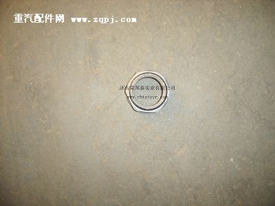FL-96006.变速箱后罗母