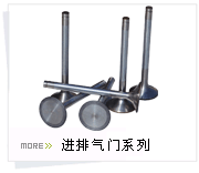 61800050068A,气门总成 欧II,乌鲁木齐三石伟业商贸有限公司（原鑫隆江泉）